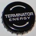 Terminator energy