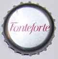 Fonteforte
