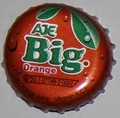 Aje Big Orange